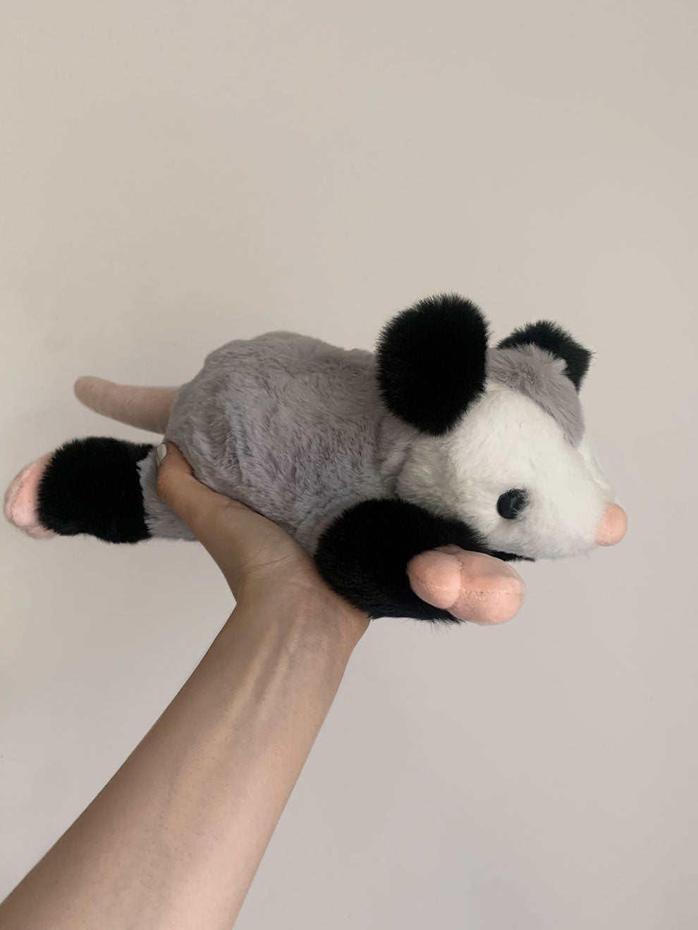 Large Peter The Possum