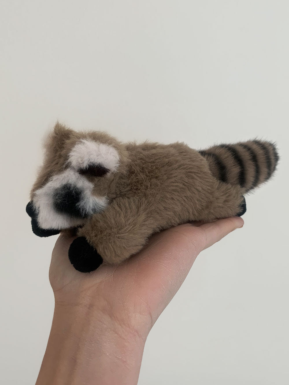 Raymond The Raccoon