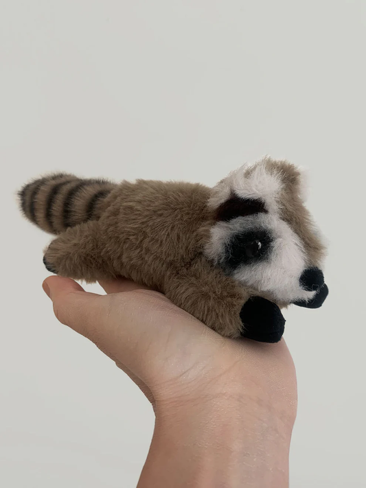 Raymond The Raccoon