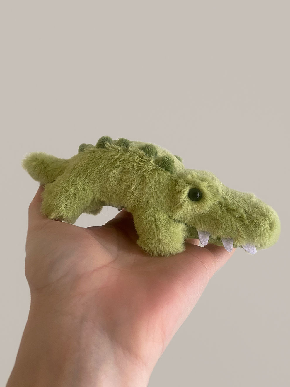 Charlie the Crocodile