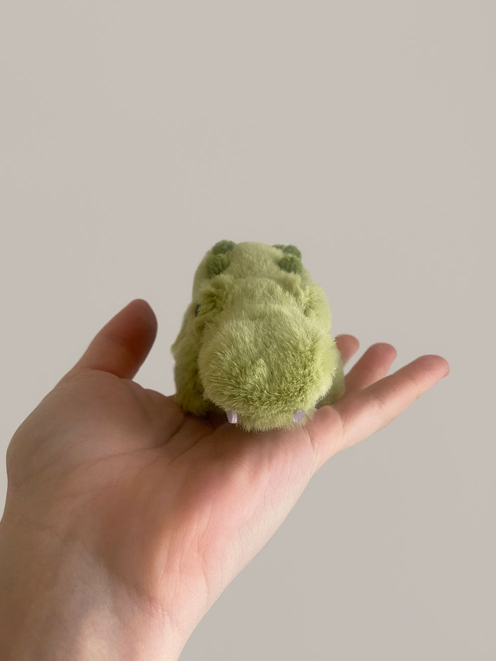 Charlie the Crocodile