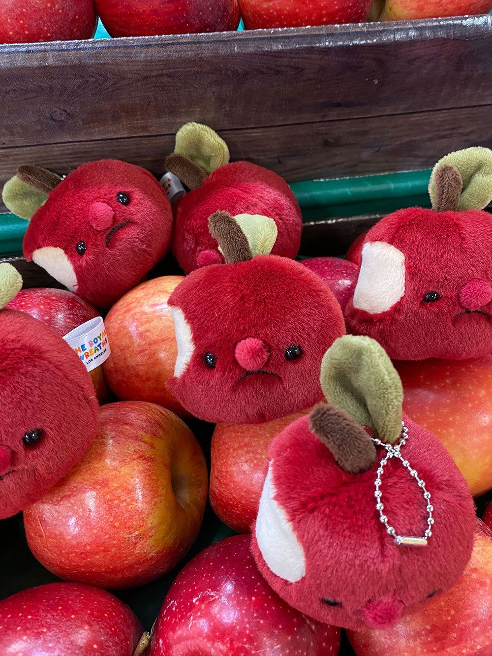 Forgotten Bitten Apple