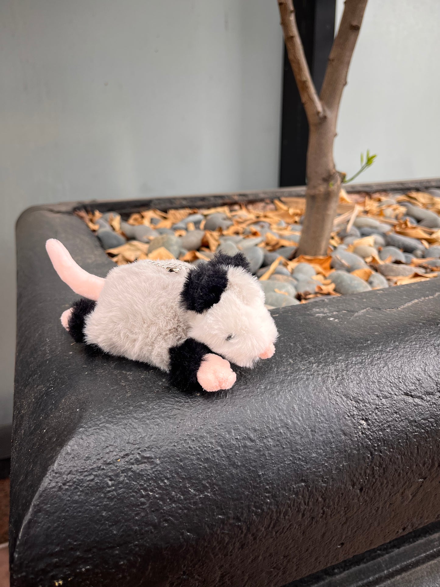 Forgotten Peter the Opossum (SOLD OUT- Preorder for Sep)