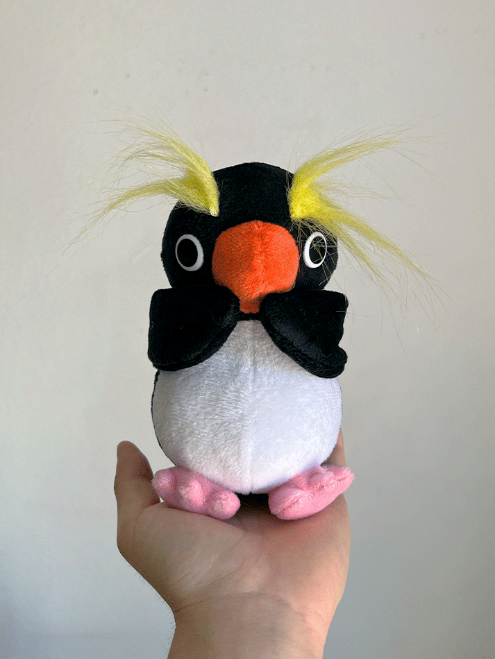 Rupert The Rockhopper