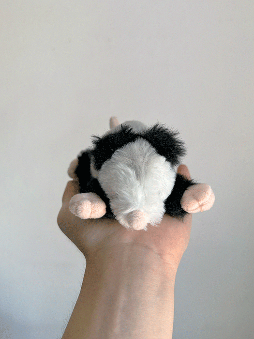 Peter The Opossum