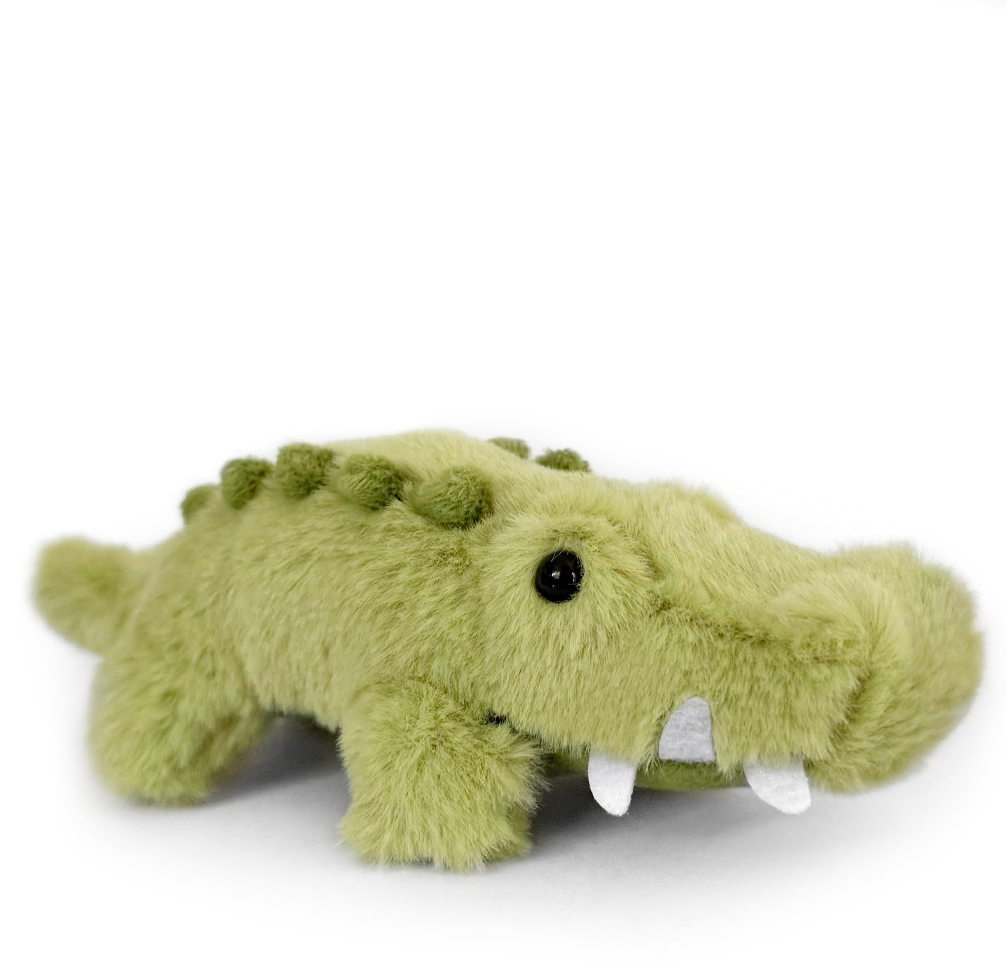 Charlie the Crocodile