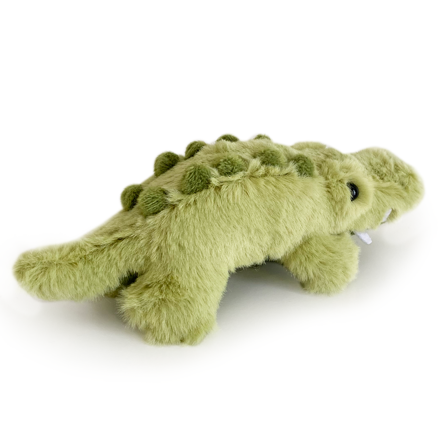 Charlie the Crocodile