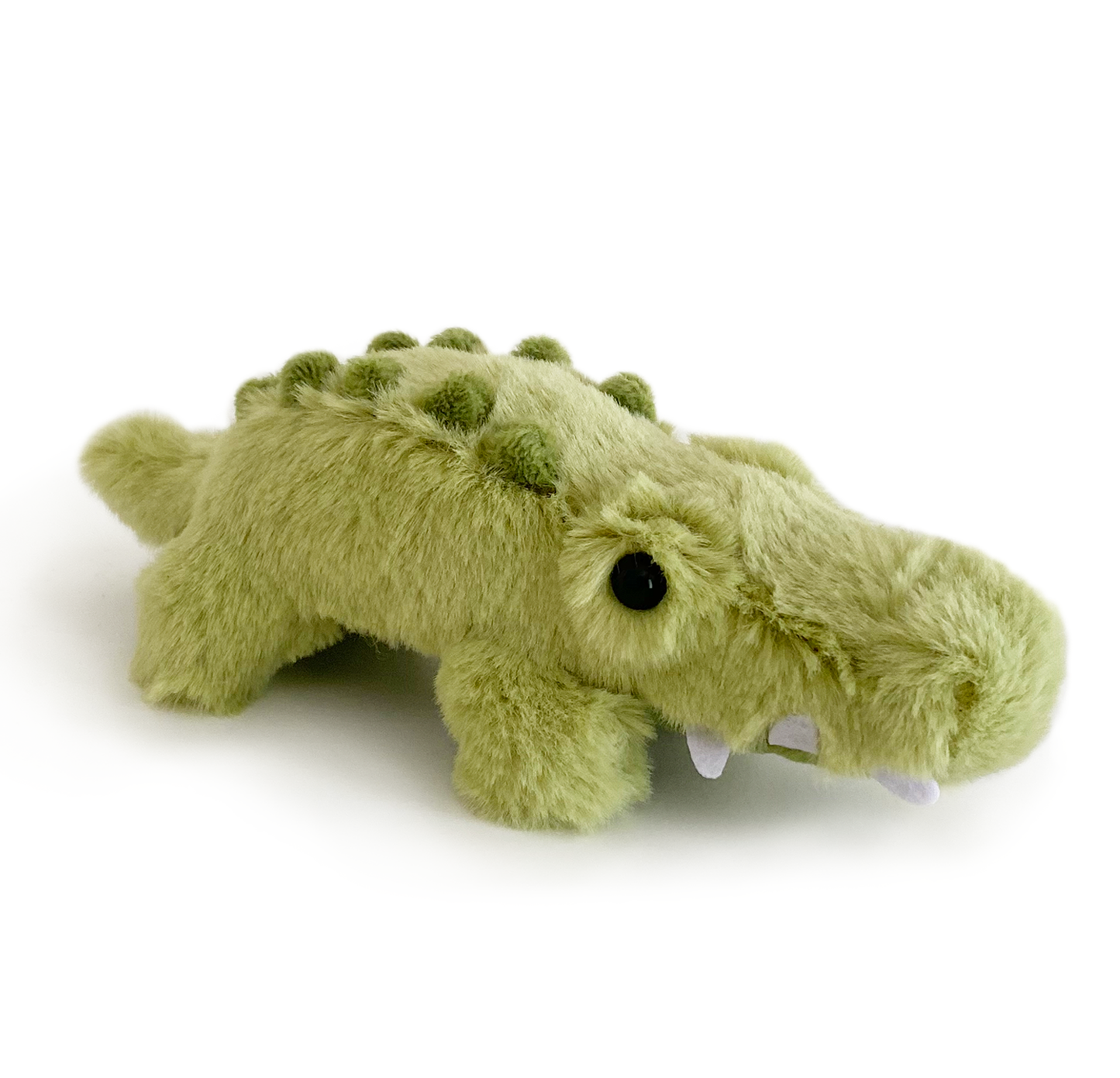 Charlie the Crocodile