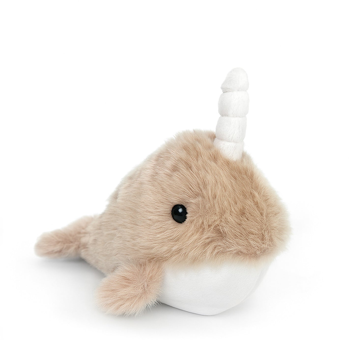 Noelle The Narwhale