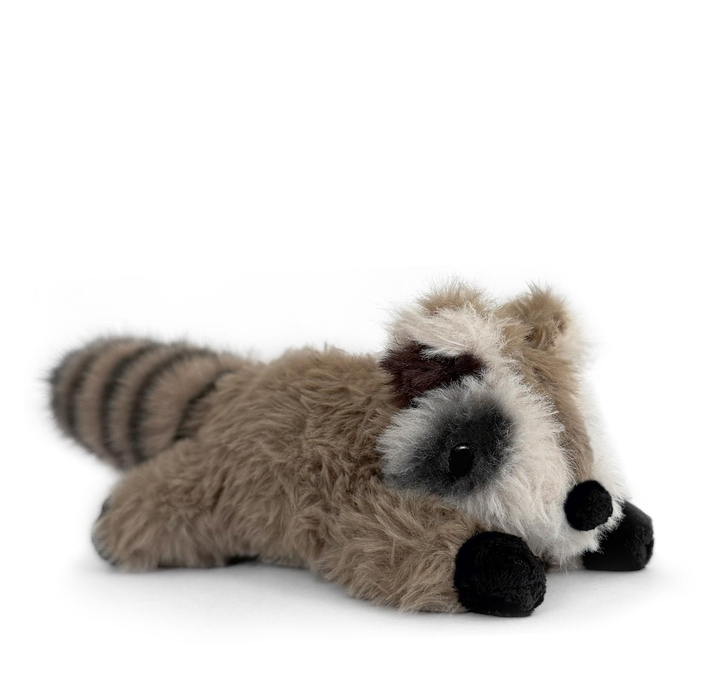 Raymond The Raccoon