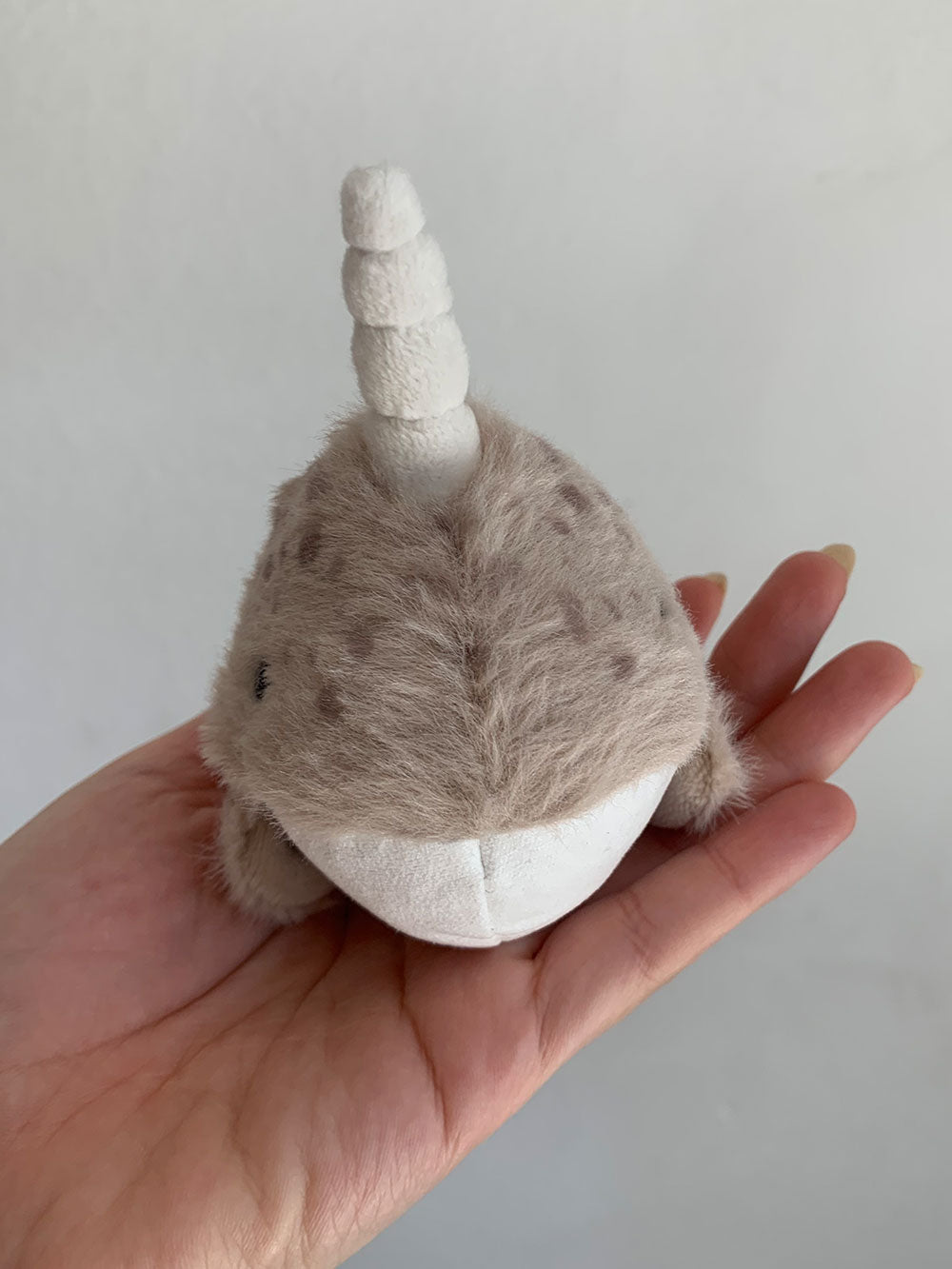 Noelle The Narwhale