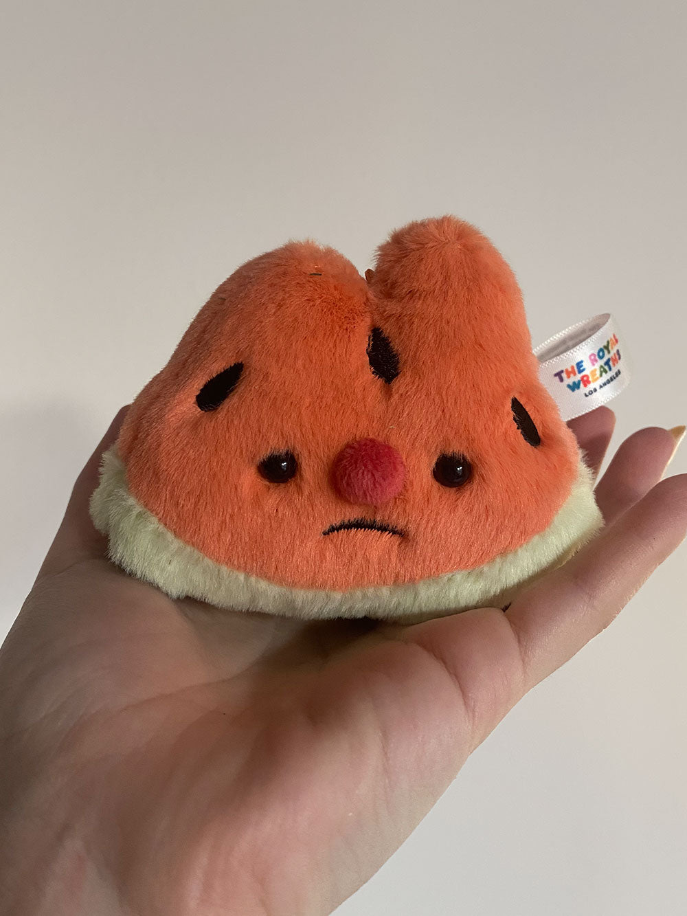 Forgotten Bitten Watermelon Slice