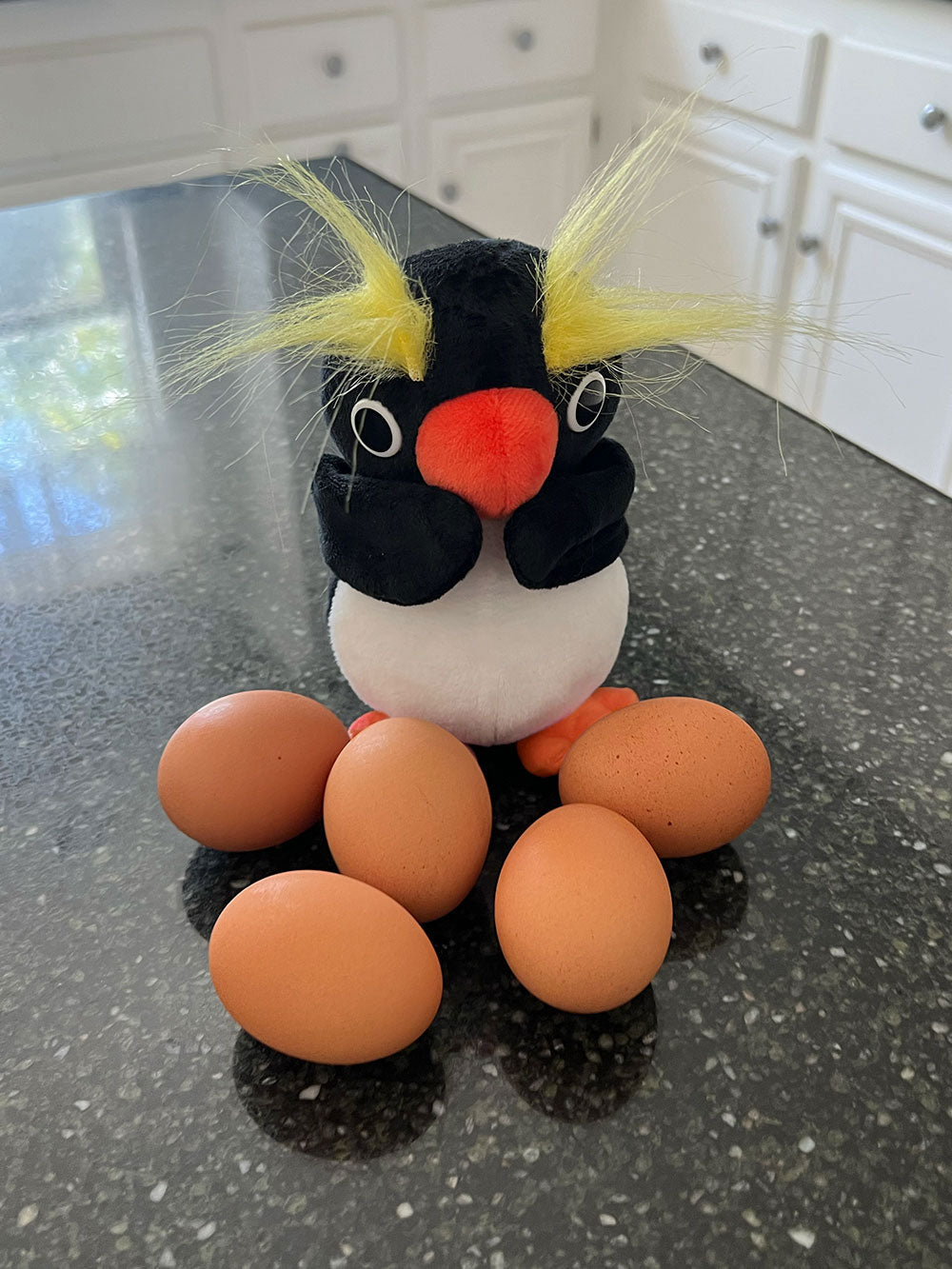 Rupert The Rockhopper