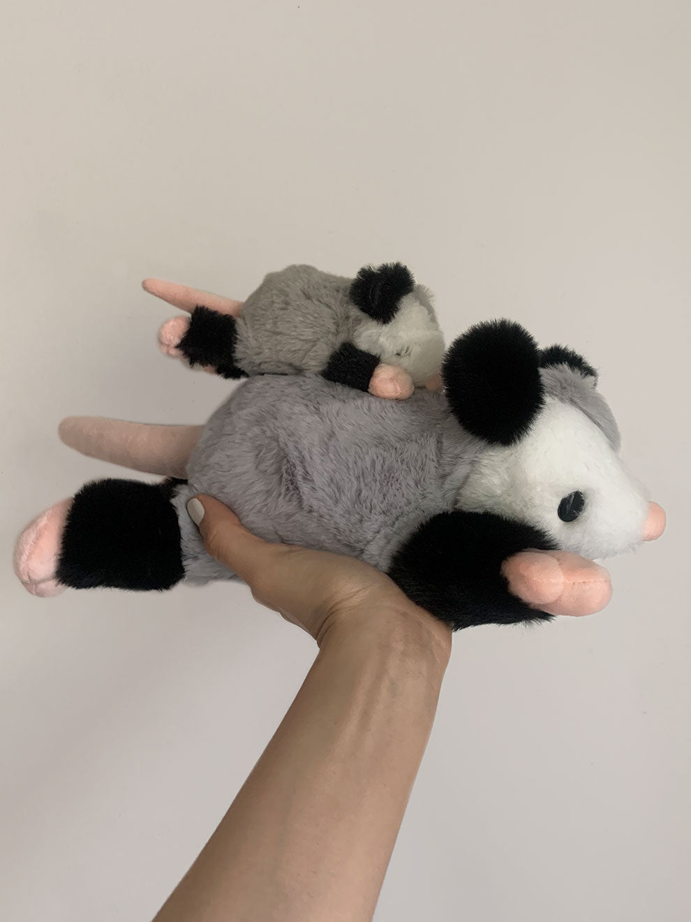 Large Peter The Opossum