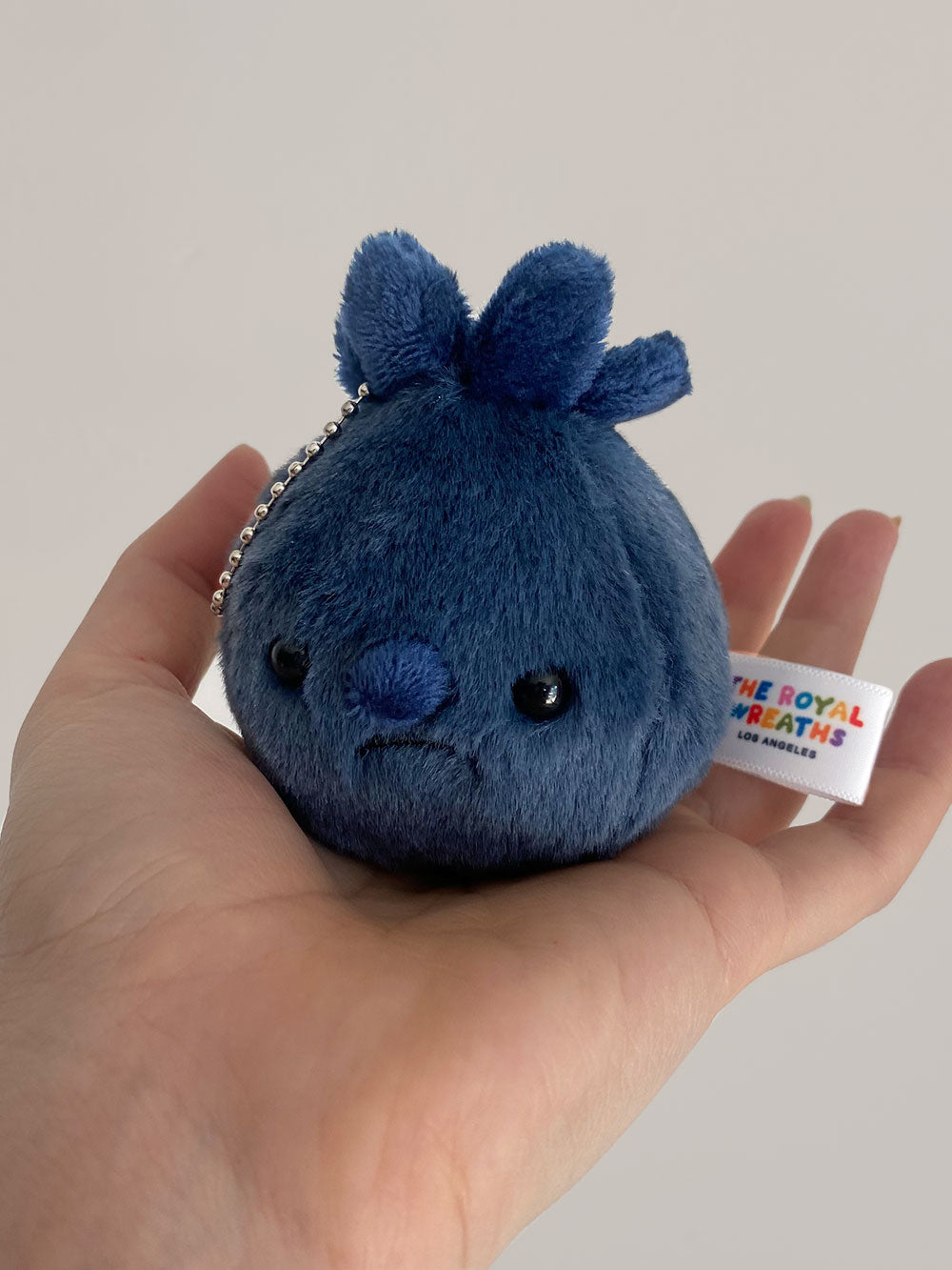 Forgotten Blueberry
