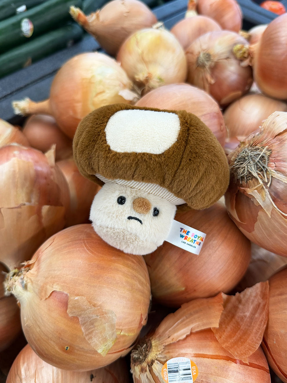 Forgotten Bitten Shiitake Mushroom