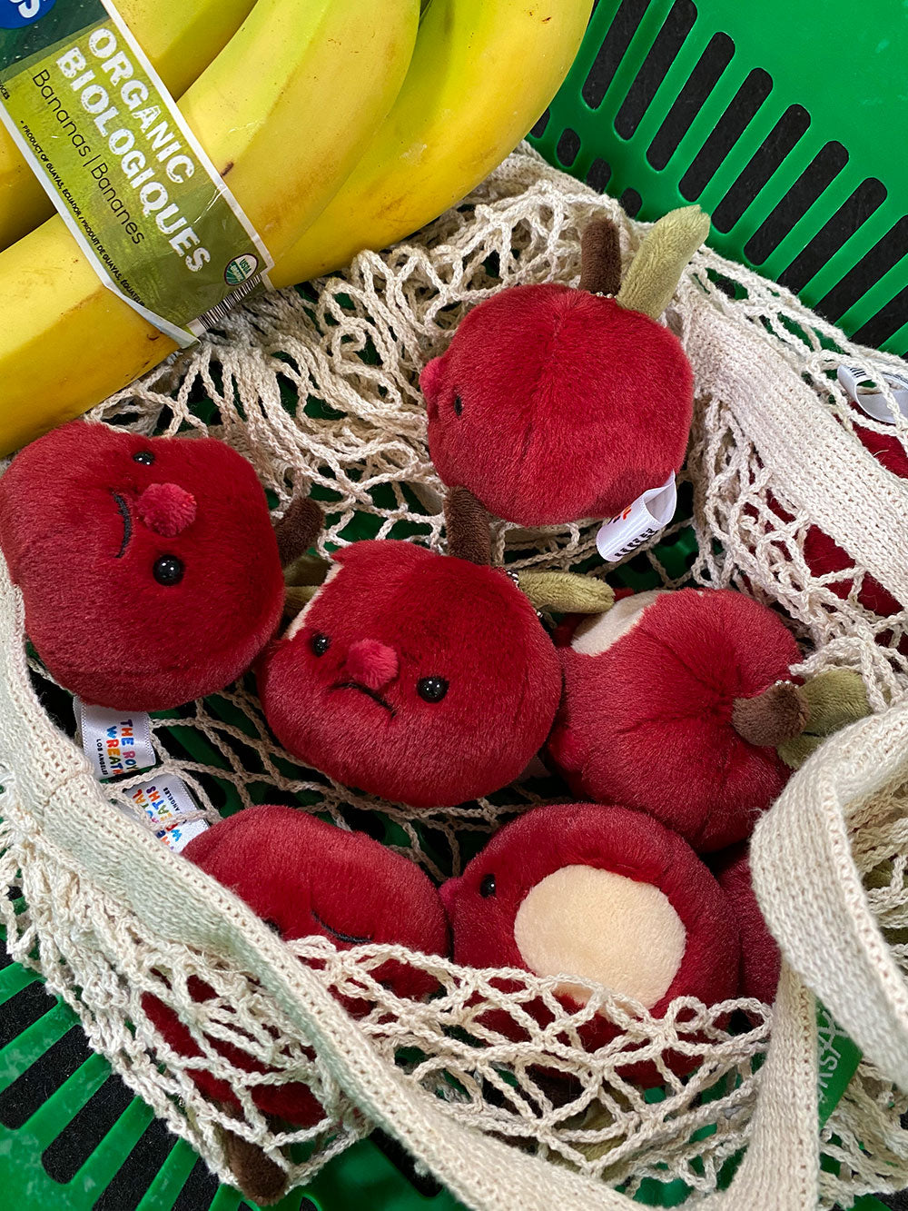 Forgotten Half-Eaten Apple – The Royal Wreaths Forgotten Half-Eaten Apple – The Royal Wreaths