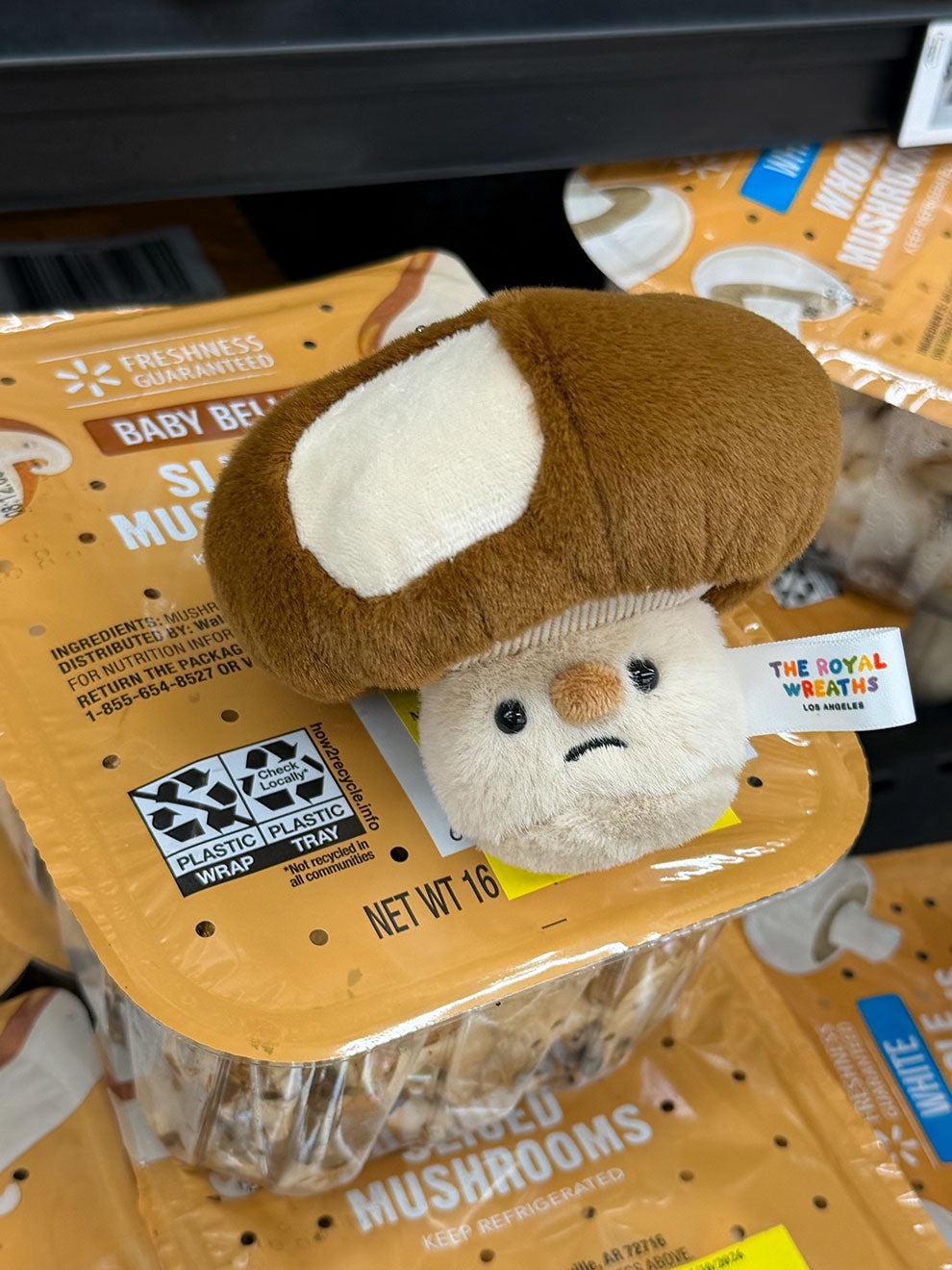 Forgotten Bitten Shiitake Mushroom