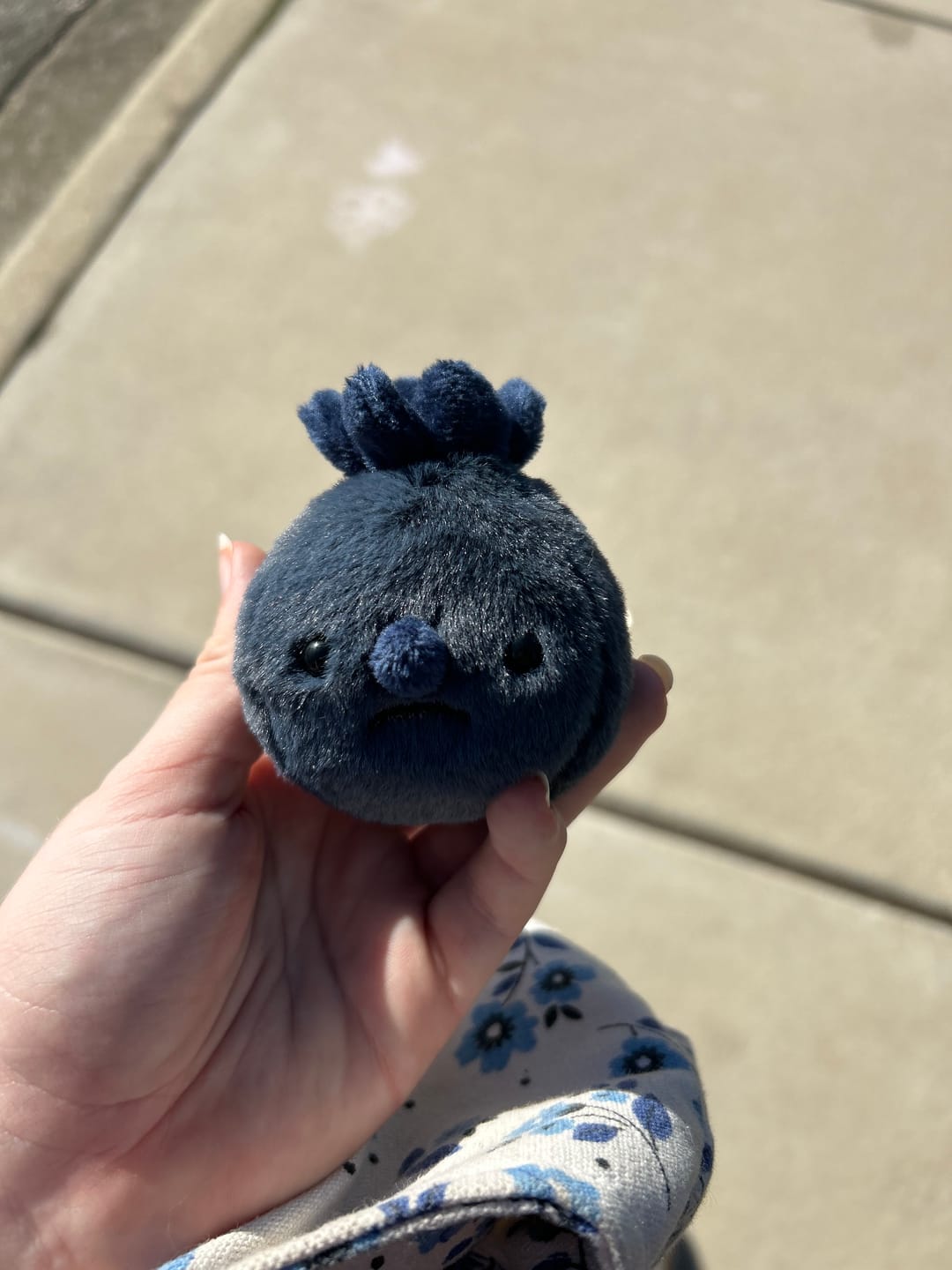 Forgotten Single Blueberry