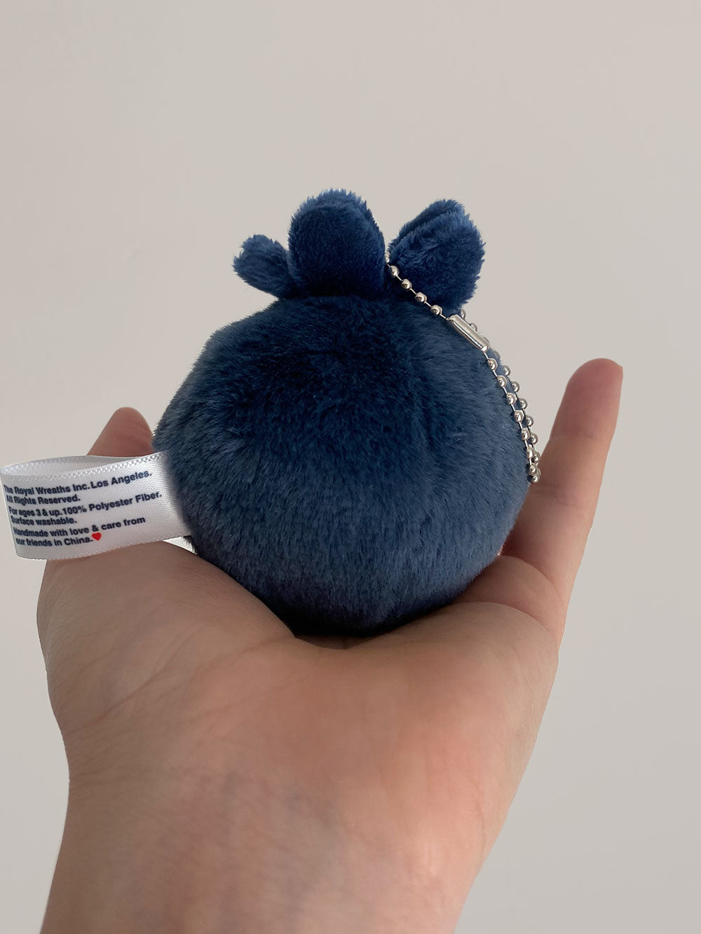 Forgotten Blueberry