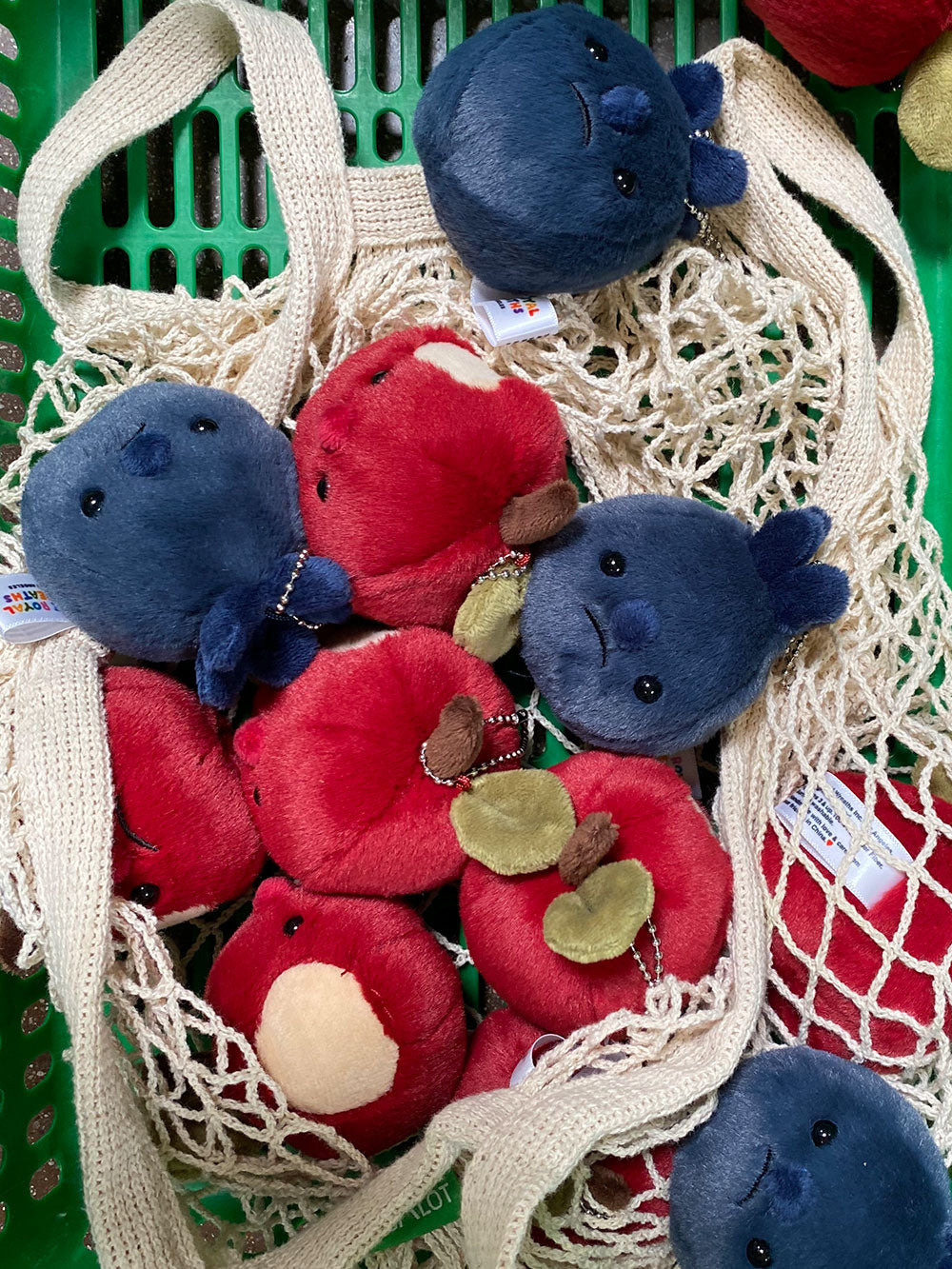 Forgotten Blueberry