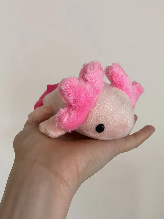 Amelia The Axolotl