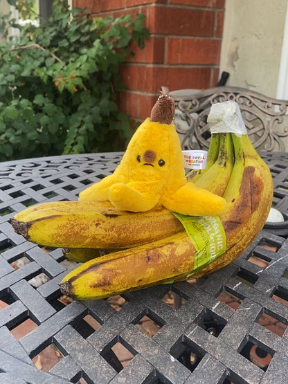 Forgotten Banana Peel