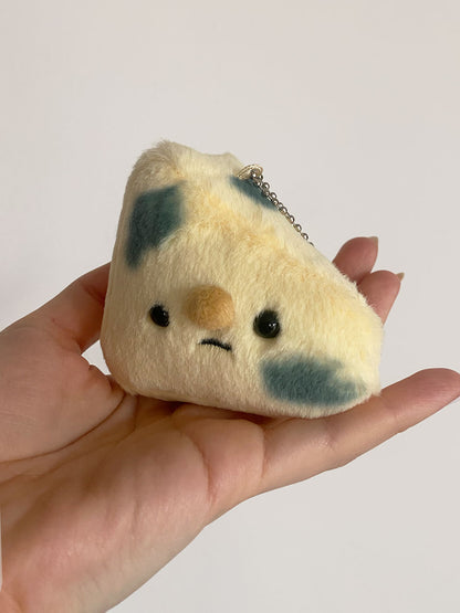 Forgotten Moldy Parmesan Cheese Slice