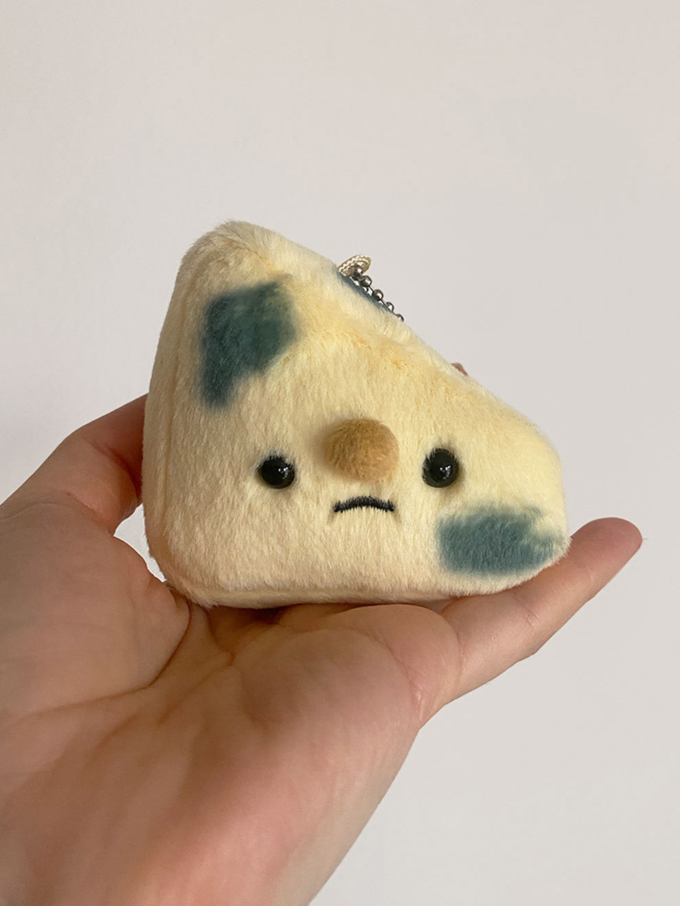 Forgotten Moldy Parmesan Cheese Slice