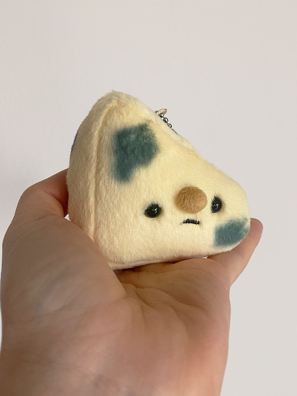 Forgotten Moldy Parmesan Cheese Slice