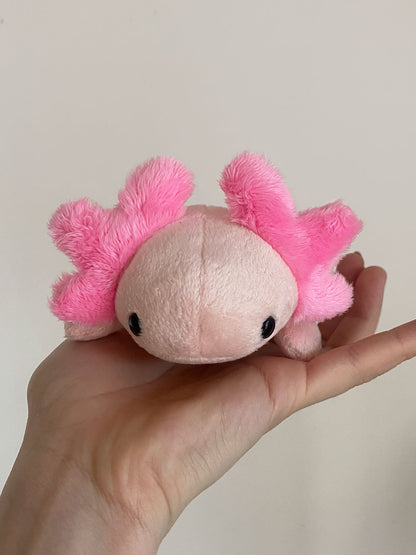 Amelia The Axolotl