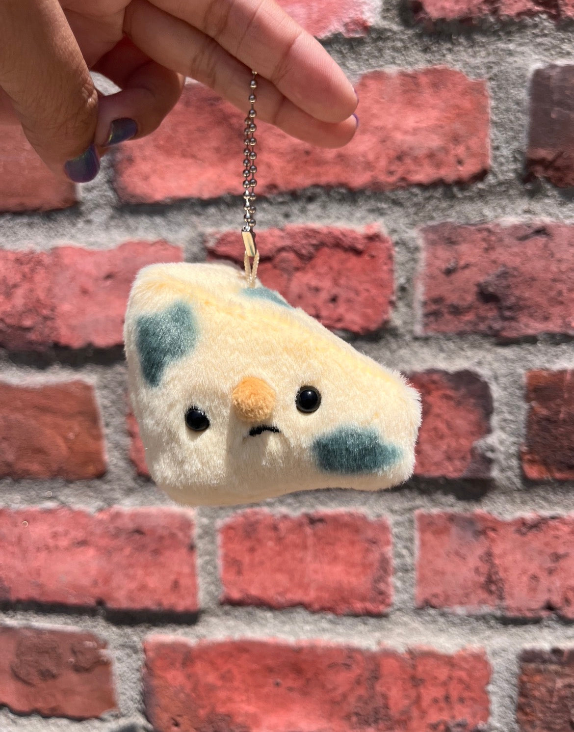 Forgotten Moldy Parmesan Cheese