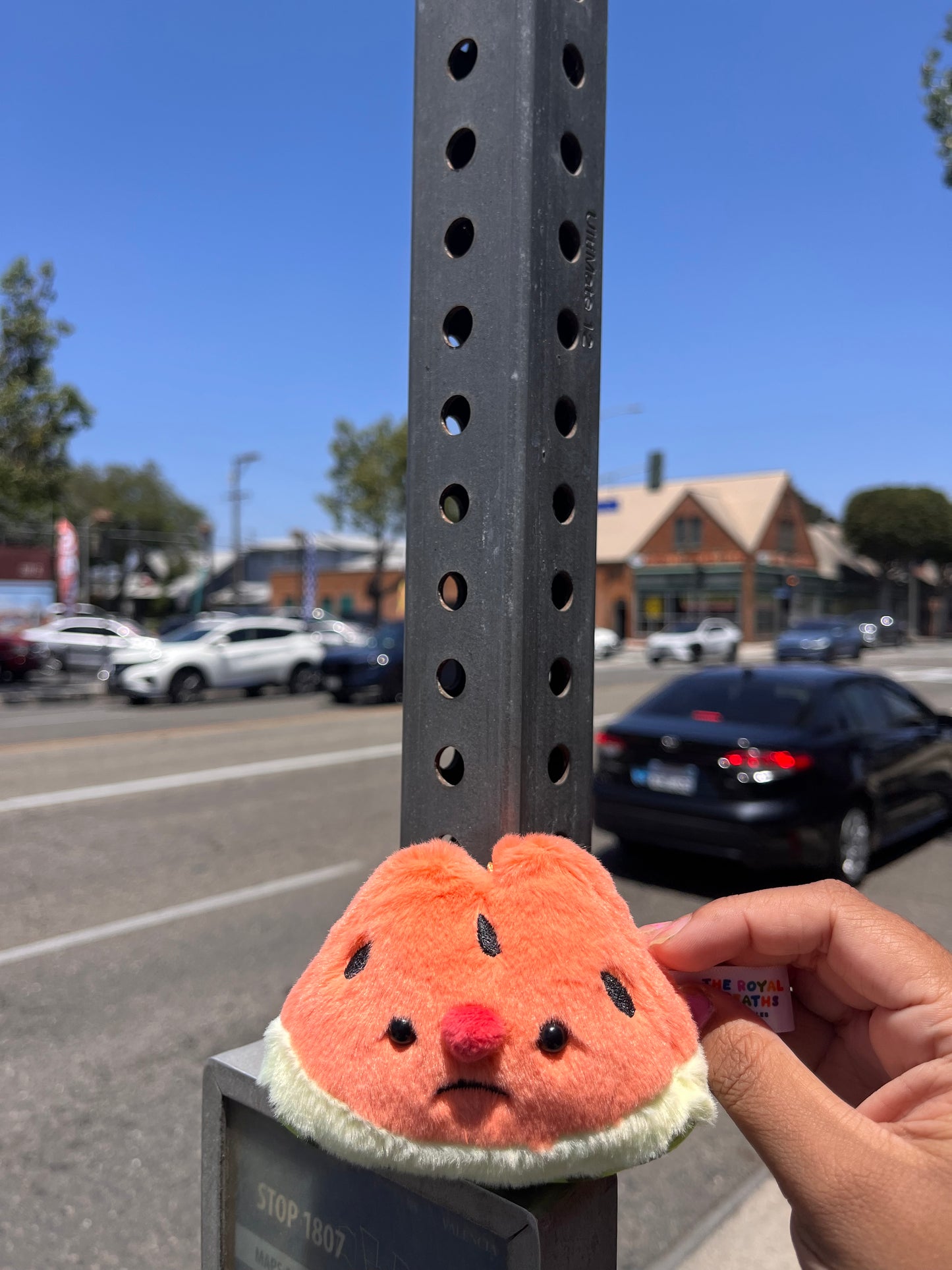 Forgotten Bitten Watermelon Slice