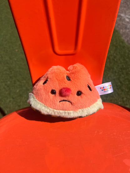 Forgotten Bitten Watermelon Slice