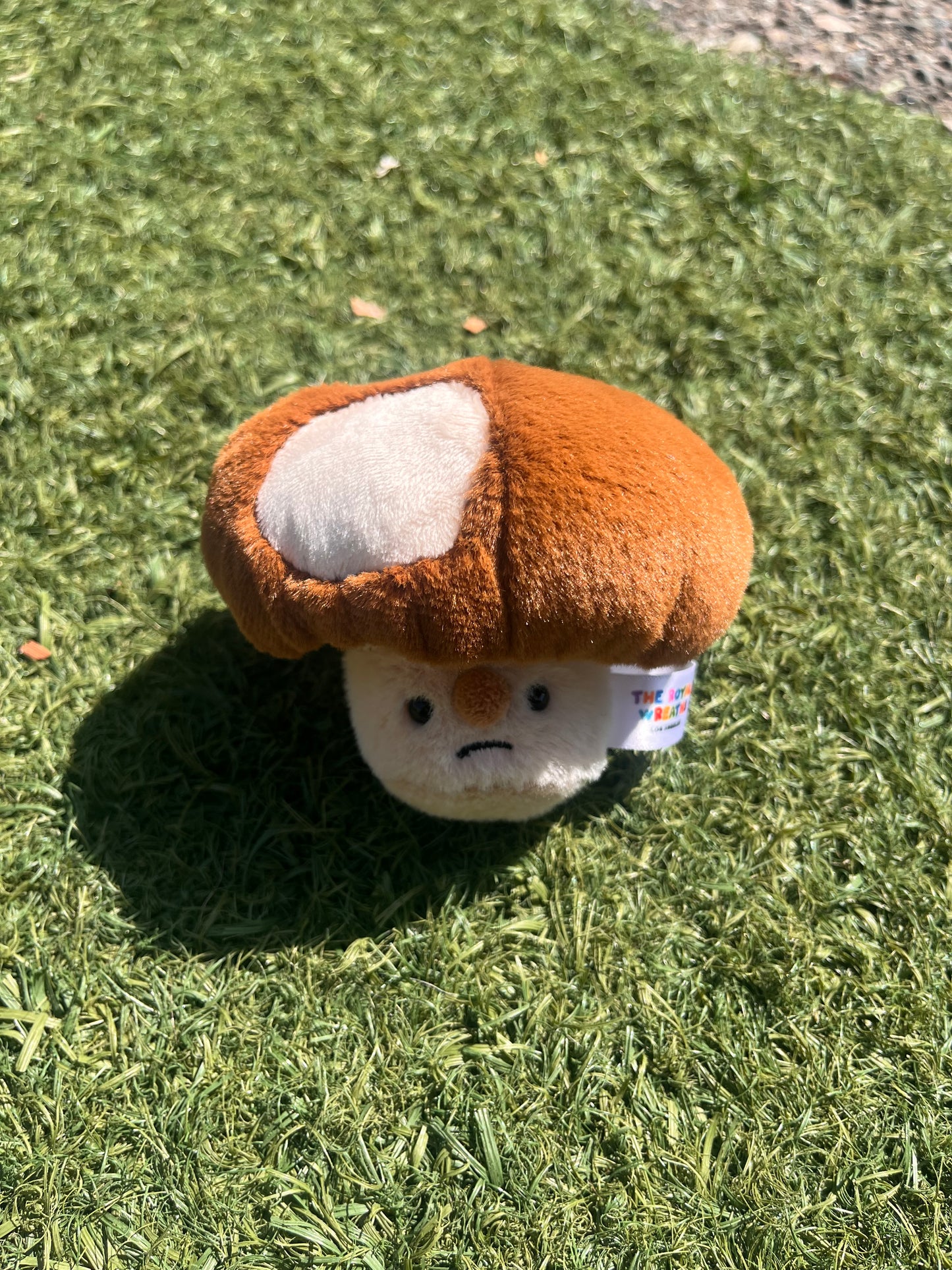 Forgotten Bitten Shiitake Mushroom