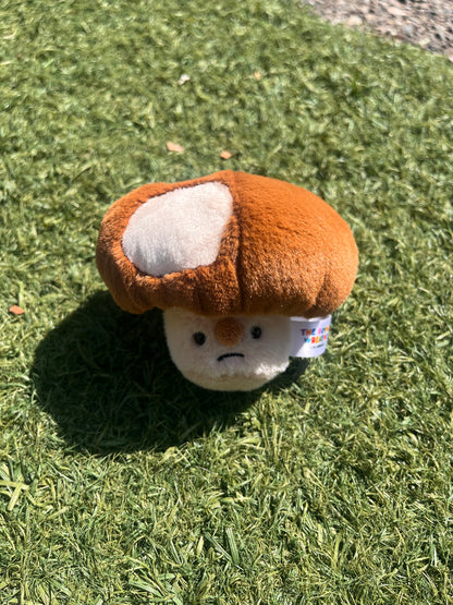 Forgotten Bitten Shiitake Mushroom