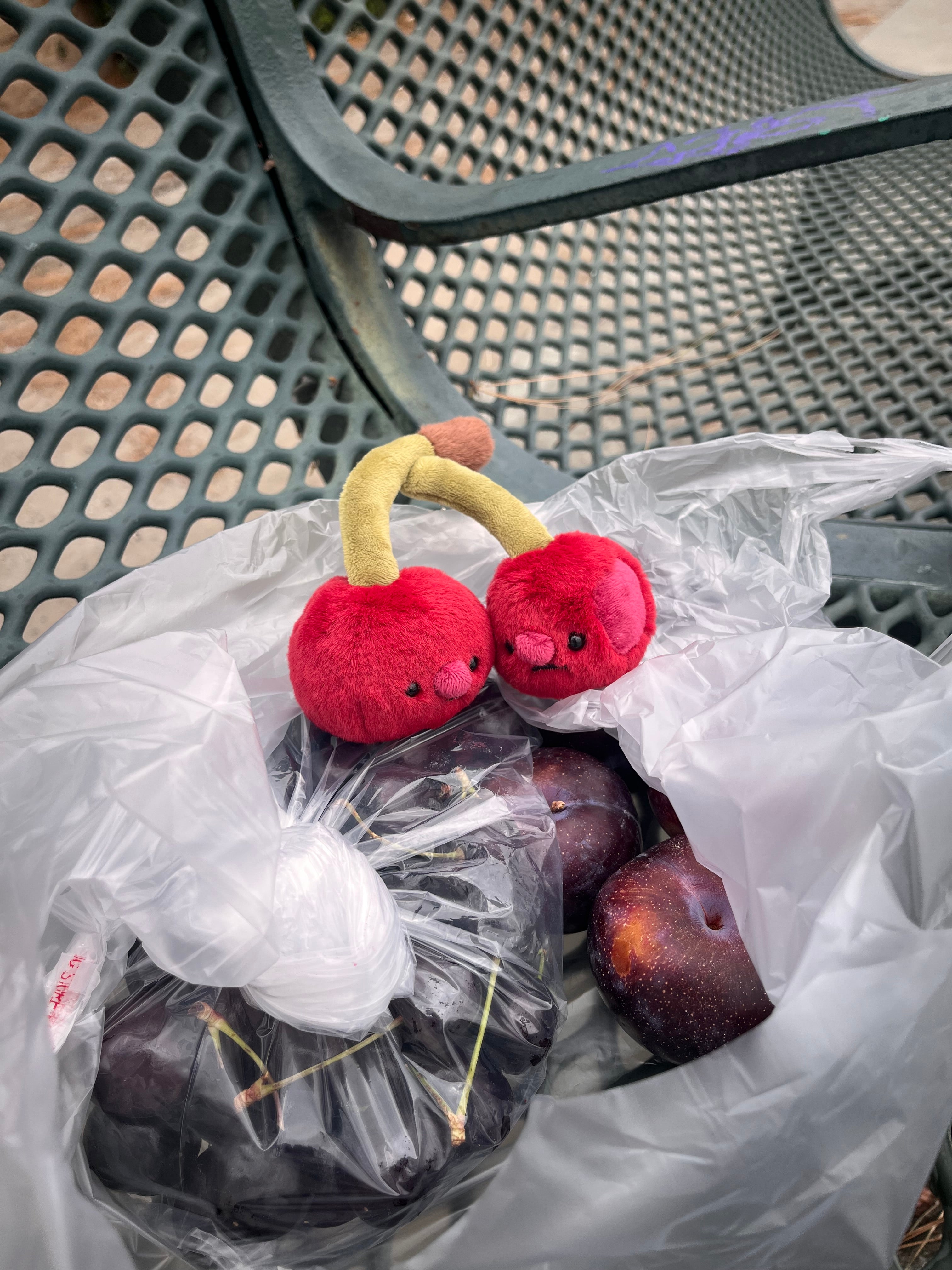 Forgotten Cherries – The Royal Wreaths