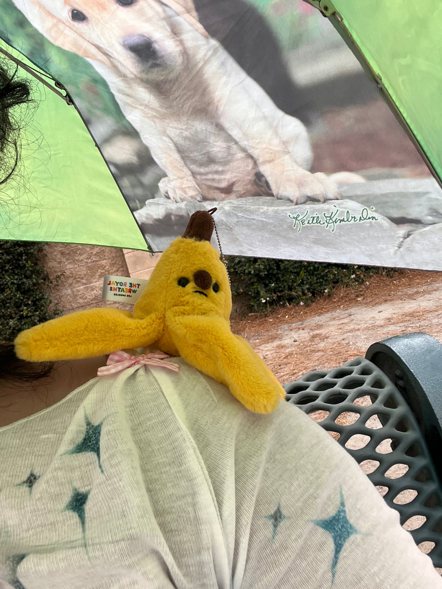 Forgotten Banana Peel