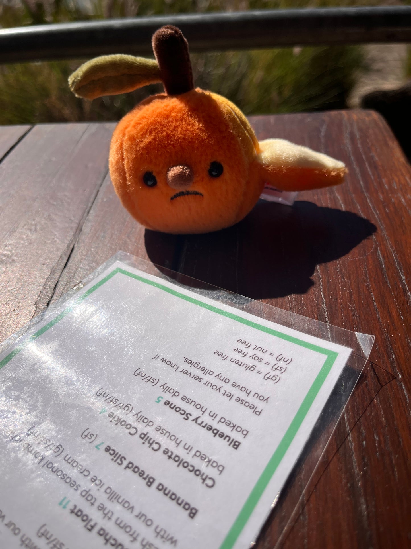 Forgotten Half-Peeled Orange