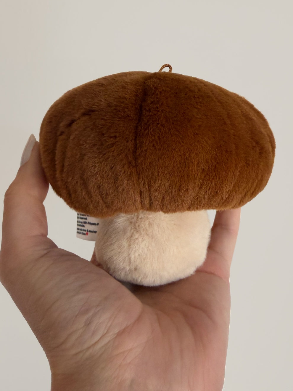 Forgotten Bitten Shiitake Mushroom