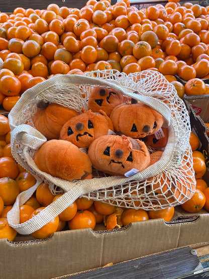 Forgotten Jack-O'-Lantern
