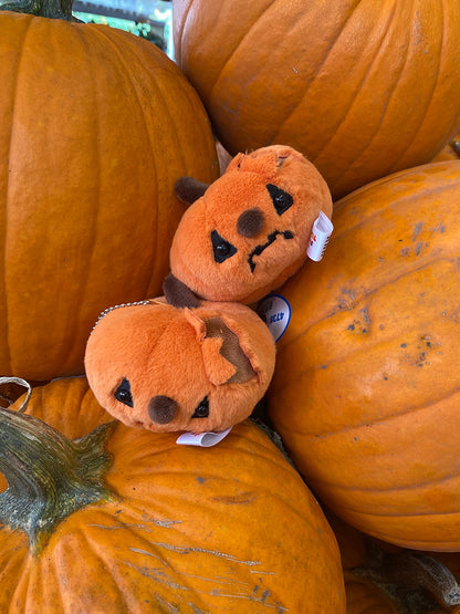 Forgotten Jack-O'-Lantern