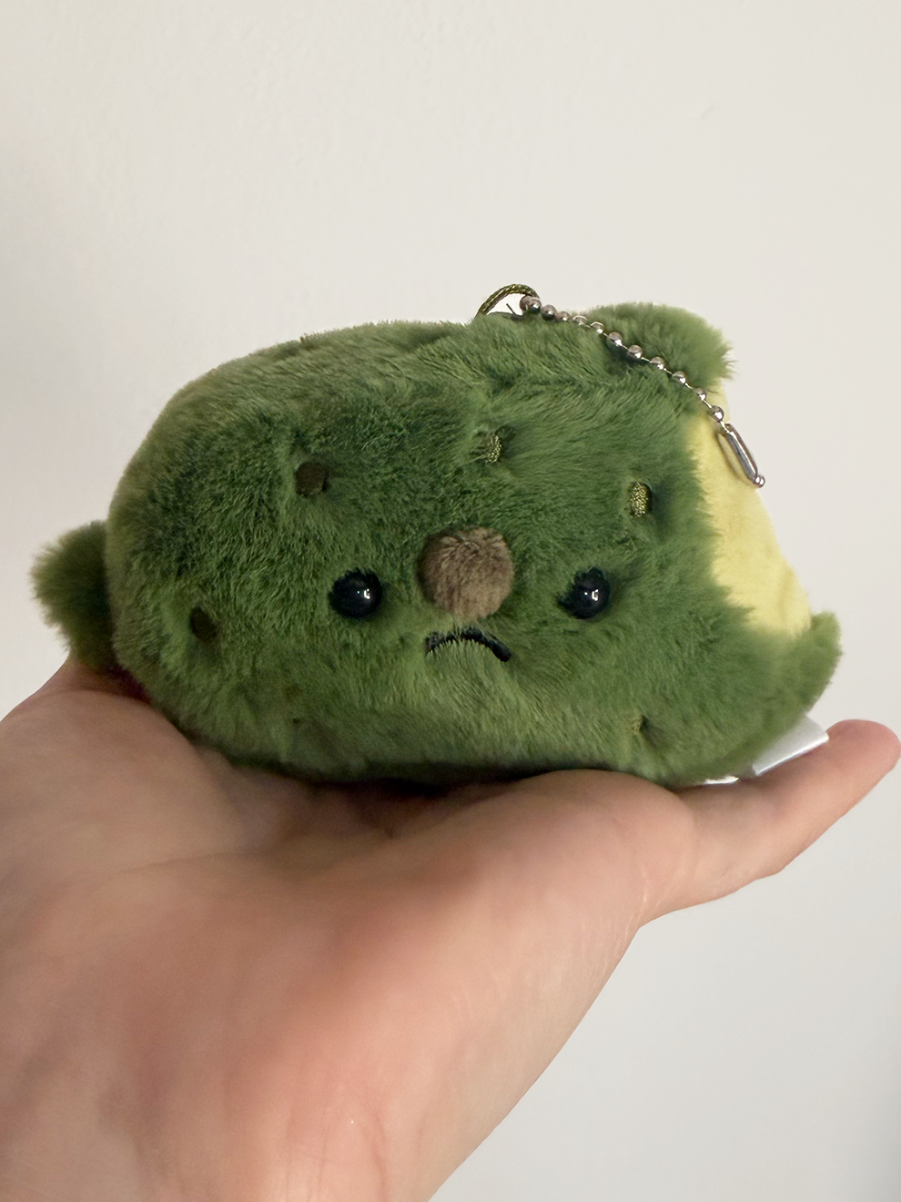 Forgotten Bitten Pickle