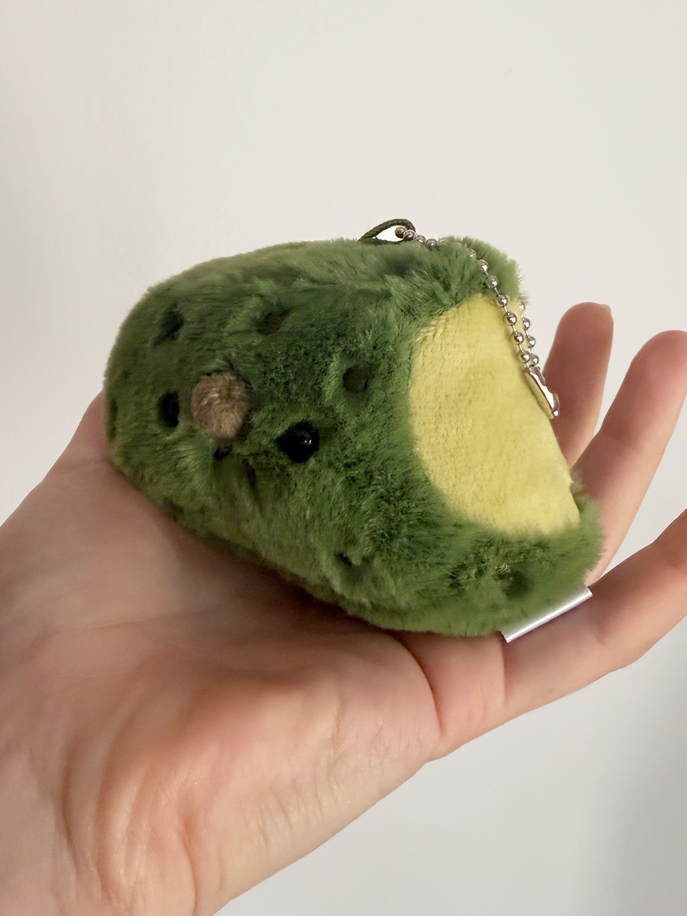 Forgotten Bitten Pickle