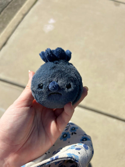 Forgotten Single Blueberry