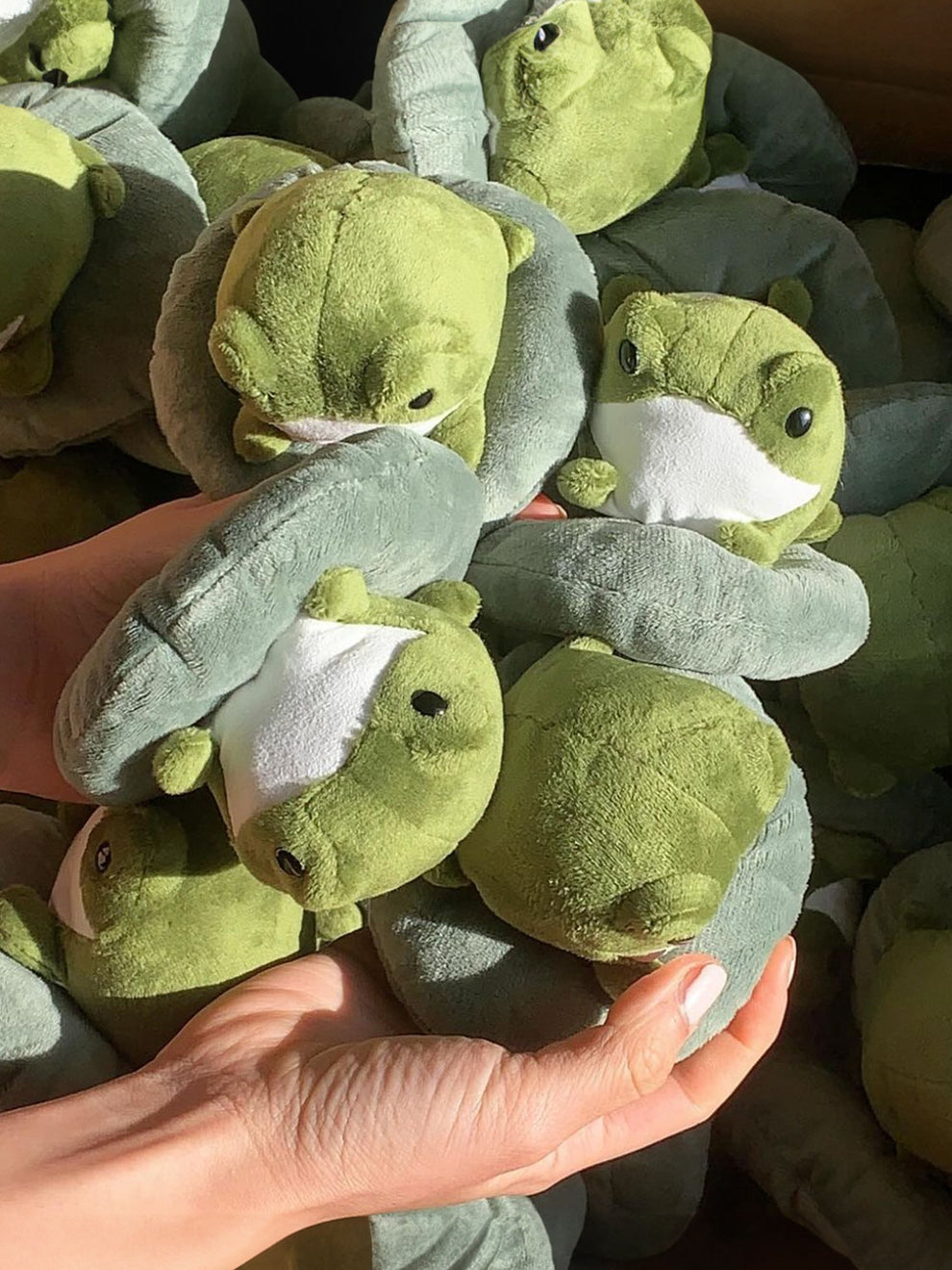 Forgotten Henry The Frog – The Royal Wreaths