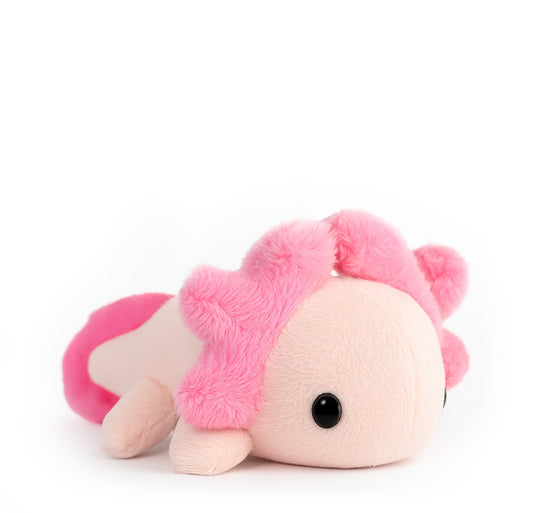 Amelia The Axolotl