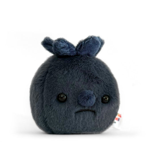 Forgotten Blueberry