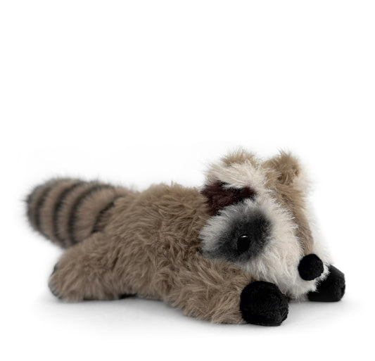 Raymond The Raccoon