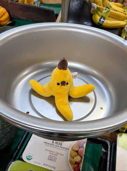 Forgotten Banana Peel